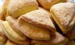 Творожное печенье – очень вкусные и быстрые рецепты печенья из творога