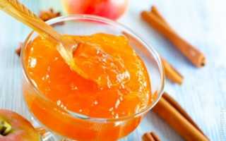 Желе из яблок на зиму – янтарная сладость! Рецепты разного желе из яблок на зиму: с желатином и без загустителей