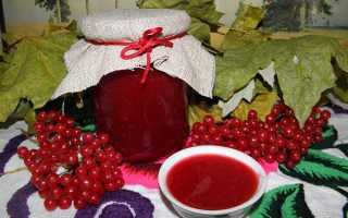 Джем из калины — как приготовить без косточек, рецепты заготовки на зиму, видео