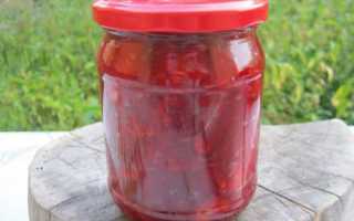 Заправка для борща из свеклы на зиму — 5 очень вкусных рецептов с фото пошагово