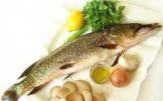 Как приготовить нежную щуку в сметанке на сковородке