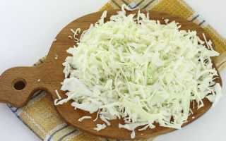 Подборка лучших рецептов квашеной капусты с укропом и его семенами