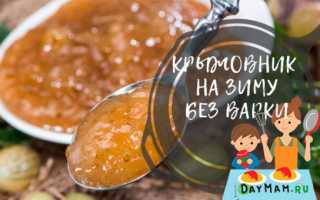 Заготовки из крыжовника на зиму: 22 лучших рецепта