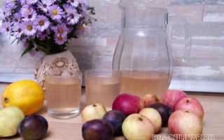 Компот из яблок на зиму — 10 рецептов с пошаговыми фото