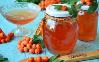 Лучшие рецепты приготовления на зиму красной рябины