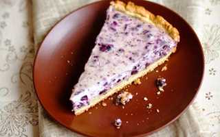 Пирог с черникой и творогом — рецепт с фото пошагово