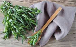 Зелень на зиму — обзор лучших способов консервации и советы по заморозке