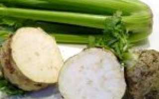 Как сушить сельдерей в домашних условиях: сушим корни, стебли и листья сельдерея