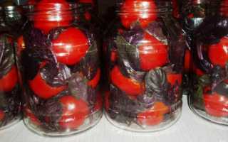 Потрясающие помидоры с базиликом на зиму — ТОП-6 вкусных рецептов