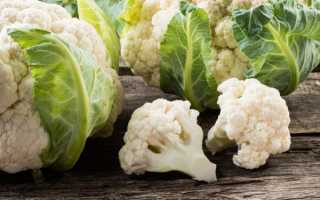 Как заморозить капусту цветную в морозилке на зиму правильно: рецепты и способы