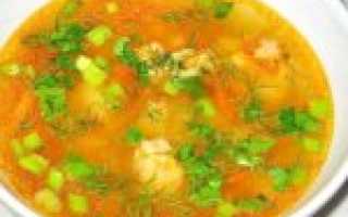 Суп из индейки – 6 рецептов как приготовить вкусный суп