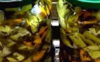 Кабачки как грузди на зиму — 5 рецептов пальчики оближешь с фото пошагово