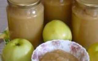 7 ПРОСТЫХ рецептов яблочного пюре на зиму 2021 в домашних условиях: пошаговые с фото