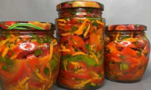 7 лучших рецептов приготовления на зиму маринованного перца с морковью