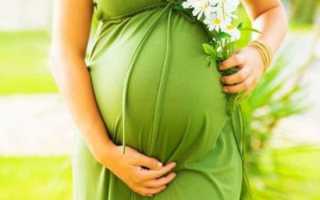 Листья хрена: состав, полезные свойства, применение и противопоказания