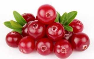 Булочки с брусникой под сырно-сливочной глазурью – пошаговый рецепт с фотографиями