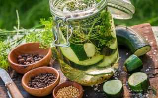 Топ-10 лучших способов приготовления маринованных цукини на зиму: рецепты от опытных домохозяек