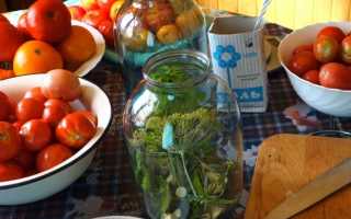 Засолка помидоров холодным способом в ведре: простые рецепты