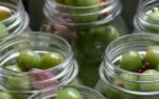 Бочковые зеленые помидоры – 4 рецепта соленых помидор в домашних условиях