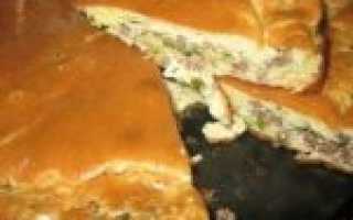 Пирог из слоеного теста с фаршем. Как быстро и вкусно испечь пирог с мясной начинкой