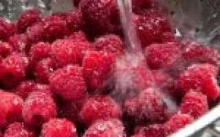 Малиновое конфи для торта. Рецепты на пектине, агаре, желатине, крахмале, от Энди Шефа, Юлии Смолл, Марии Белой