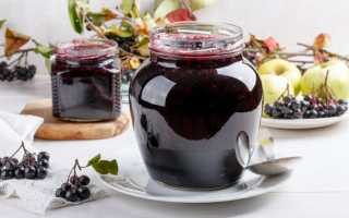 Протертая красная рябина с медом. Сочетание мёда и рябины