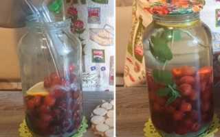 Полезный напиток на зиму: компот из калины на 3 литровую банку