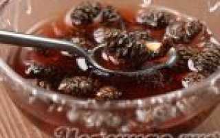 Ароматное варенье из сосновых шишек — целебная сила леса в одной маленькой баночке