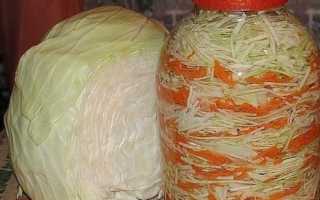 Маринованная капуста с морковью – 7 рецептов быстрого приготовления